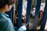 Làm công việc chăm sóc hà mã, mất ít nhất 2 tiếng xử lý chất thải mỗi ngày, chàng thạc sĩ 28 tuổi vẫn cho rằng mình không hề lãng phí chuyên môn nhờ điều này