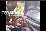 Vừa mở nắp ca-pô ô tô, chủ xe "đứng hình" thấy sinh vật này bên trong