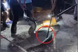 Con trăn khổng lồ nằm chắn gần hết lòng đường, liên tục há miệng khi bị khống chế khiến ai thấy cũng "nổi da gà"