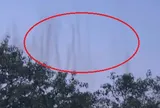 Thấy “khói đen” chuyển động giữa bầu trời, người phụ nữ phóng to camera rồi giật mình khi thấy cảnh tượng "nổi da gà" này