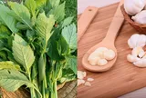 Từng mọc đầy bờ ruộng chẳng ai để ý, thứ rau dại có mùi như “xăng thơm” nay được bán 50.000 đồng/kg