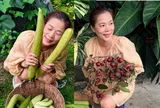 Nữ ca sĩ từng chạy 8-9 show/ngày, nay là Phó Chủ tịch tập đoàn, sở hữu khu vườn trái sai trĩu, hái không kịp