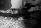 Vụ sát hại người tình trong phòng trọ ở Tây Ninh: Nghi phạm bị bắt giữ, hé lộ danh tính