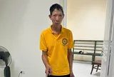 Lý do Phạm Việt Anh bị bắt