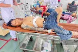 Nữ chủ quán lẩu dê ở Lâm Đồng bị đâm tử vong: Nghi phạm có hành động gì sau khi gây án?