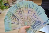 Đóng bảo hiểm xã hội tự nguyện 10 năm thì có được lãnh lương hưu không? Thời điểm hưởng lương hưu là khi nào?
