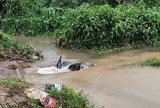 Nam sinh viên năm nhất nghi bị nước cuốn mất tích khi đi qua đường ngập sâu ở Hà Nội: Tìm thấy xe máy ở khu vực miệng cống thoát nước