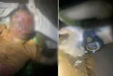 Phát hiện thi thể nam giới mắc kẹt trên vách đá ở bến Ba Cô, Đồng Nai: Nạn nhân có đặc điểm gì?