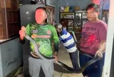 Nghe tiếng sột soạt, người phụ nữ tá hỏa phát hiện rắn hổ mang chúa dài 3,6 m sau tủ quần áo