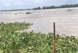 Phát hiện thi thể nam giới đầu không có tóc trôi trên sông Tiền: Có nhiều hình xăm và chữ nước ngoài