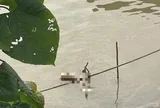 Phát hiện người đàn ông tử vong chưa rõ nguyên nhân ở sông Hồng: Hé lộ danh tính nạn nhân