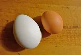 Trứng gà và trứng vịt, loại nào bổ hơn?