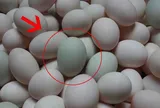 Mua trứng vịt nên chọn quả vỏ trắng hay vỏ xanh thì tốt hơn?