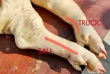 Đi chợ nên mua chân giò trước hay sau thì ngon hơn? Cách phân biệt, chọn chân giò chuẩn nhất
