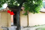 Người xưa nói: "Trước cửa không trồng cây, sau nhà ít mở cửa sổ", vì sao?