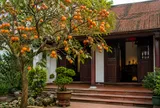 "Cây lành đón lộc": 5 loại cây mang ý nghĩa may mắn, thịnh vượng khi trồng trong nhà