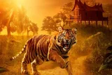 Tìm hiểu về quan niệm "tam chủng họa" trong trang trí nhà của người xưa