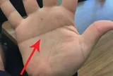 Các cụ nói: "Tay nam một đường là vàng bạc, tay nữ một đường bỏ người nuôi", là đường nào?