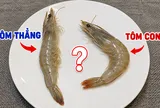 Nên mua tôm thẳng hay tôm cong thì ngon hơn?
