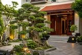 Có nên trồng cây duối trước nhà?
