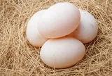 5 người không nên ăn trứng vịt