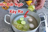 Lợi ích tuyệt vời của việc cho vài lát chanh tươi vào nồi luộc trứng