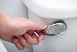 Tại sao bạn nên đóng nắp bồn cầu trước khi xả nước?
