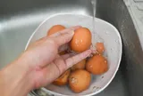 Có nên rửa trứng gà, trứng vịt trước khi cất vào tủ lạnh?