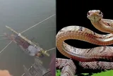 Cậu bé bị gia đình dìm nước sông 12 tiếng để chữa rắn cắn, qua đời thương tâm