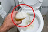 Đổ bia thừa vào nhà vệ sinh: Công dụng tuyệt vời ai biết cũng muốn làm theo