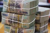 Từ 10/9/2026: Người lao động có thể bị phạt tới 100 triệu đồng nếu vi phạm điều sau