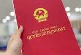 Đất thừa kế không có di chúc: Cách để người chăm sóc, phụng dưỡng cha mẹ nhận phần lớn hơn