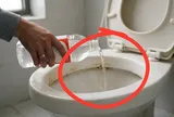 Tại sao nhiều người đổ giấm vào bồn cầu? Điều xảy ra sau 30 phút khiến bạn ngạc nhiên