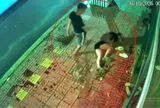 Danh tính gã chồng đánh đập vợ dã man giữa đêm trên đường phố Gia Lai