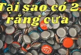 Tại sao nắp chai bia luôn có 21 răng cưa?
