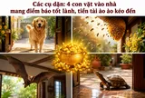 Các cụ dặn: 4 con vật vào nhà mang điềm báo tốt lành, tiền tài ào ào kéo đến, đừng dại đuổi đi mất hết lộc