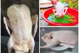 Làm thịt vịt cứ thêm 1 nắm lá này vào nước: Lông vịt sạch bong trong tích tắc, không còn lông măng