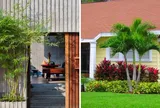 Người xưa dặn: 3 cây trồng trước nhà tiền tài tiêu tán, đem trồng sau nhà con cháu đời đời ấm no