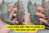 Cách phân biệt tôm tự nhiên và tôm bơm tạp chất: Cứ nhìn điểm này là biết ngay