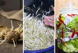 4 loại rau củ dễ nuôi tế bào ung thư: Số 1 rất nhiều người yêu thích