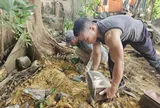 Phát hiện gần 40 hài cốt thai nhi nằm rải rác ở các gốc cây, bờ tường tại Ninh Bình