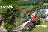 Năm 2026: Chuyển đổi đất vườn sang đất ở hết bao nhiêu tiền?