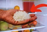 Đặt một bát muối vào tủ lạnh: Chúng có 4 lợi ích thiết thực nhà nào cũng thích