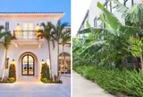 Kinh nghiệm người xưa: "Trước cau, sau chuối", có ý nghĩa gì?