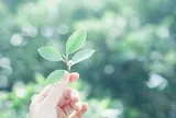 Tuổi trung niên rực rỡ nếu làm những điều này