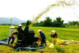 Cập nhật Bộ tiêu chí quốc gia về nông thôn mới giai đoạn 2026–2030
