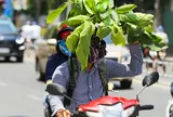 Dự báo thời tiết ngày 11/5: Miền Bắc mưa giông, Nam bộ nắng gắt, khả năng xảy ra giông lốc