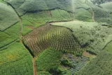 Những người sống trên đất 30-40 năm nhưng chưa có sổ đỏ vẫn có thể được cấp: Ai đủ điều kiện theo Luật Đất đai?