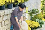 "Anh trai" U50 của showbiz Việt có cơ ngơi đẹp như mơ, cảnh cún cưng chạy quanh vườn đầy hoa làm nhiều người mê tít