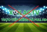 Đường dây Xôi Lạc TV bị triệt phá: Đại sứ quán Anh gửi thư cảm ơn Việt Nam